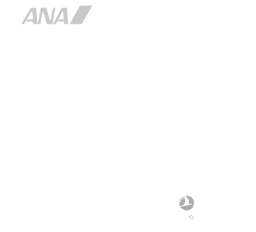 Airline Partners