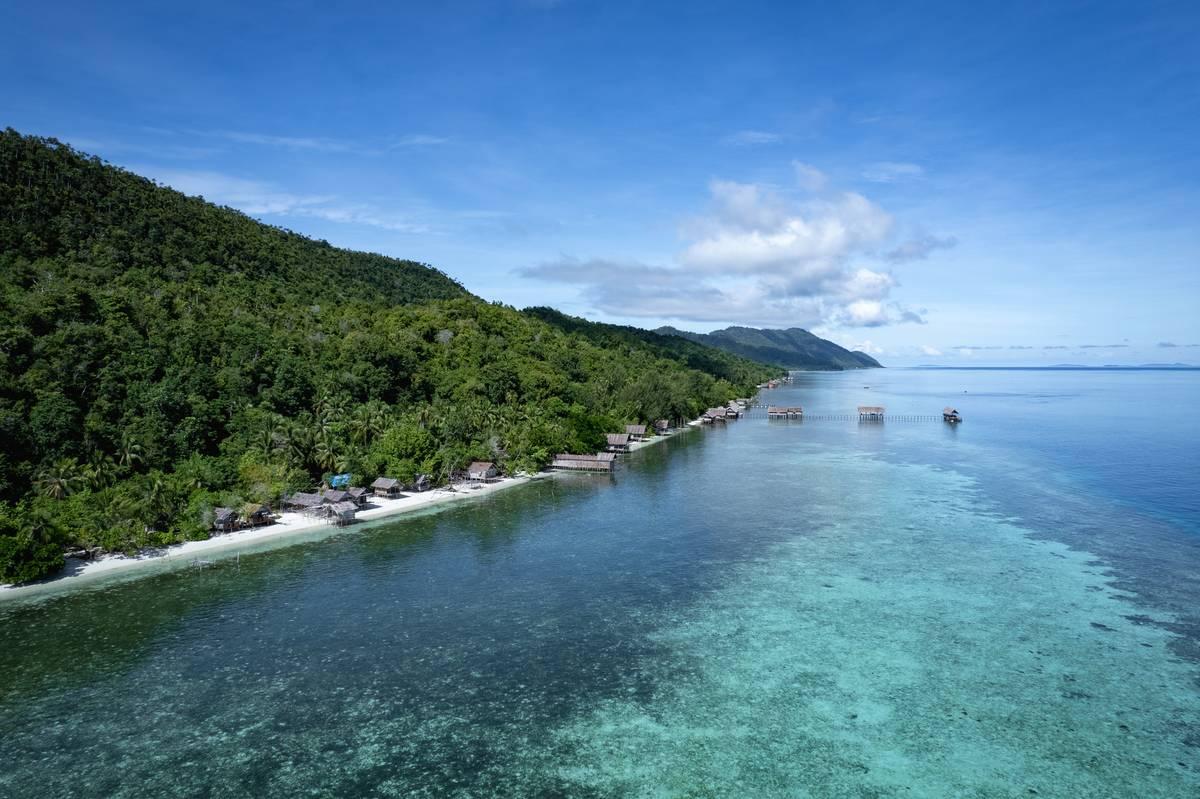 Cover for The Ultimate Guide to The Last Paradise - Raja Ampat