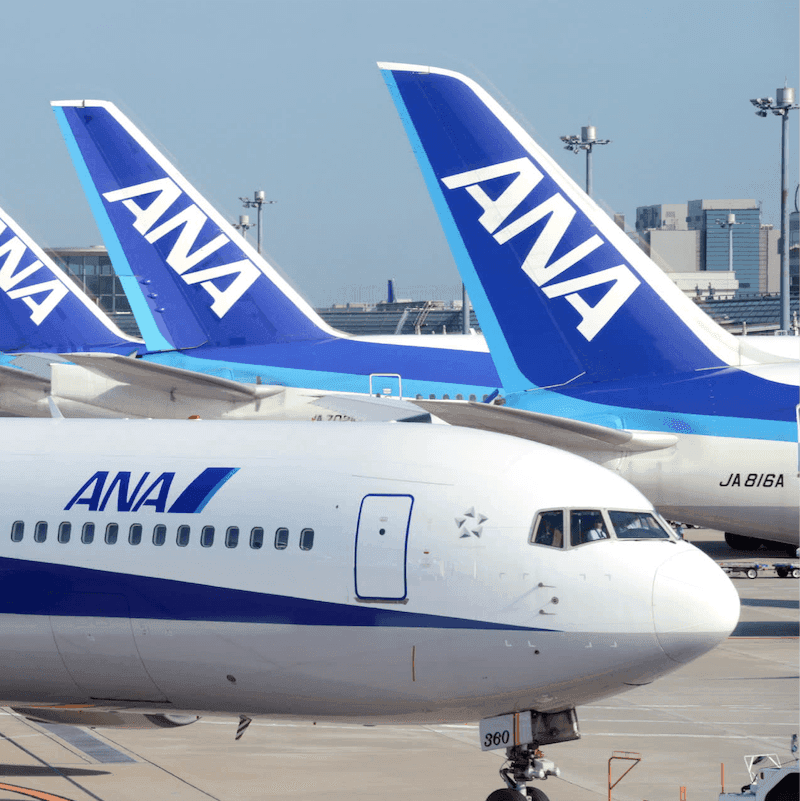 Picture of All Nippon Airways, undefined