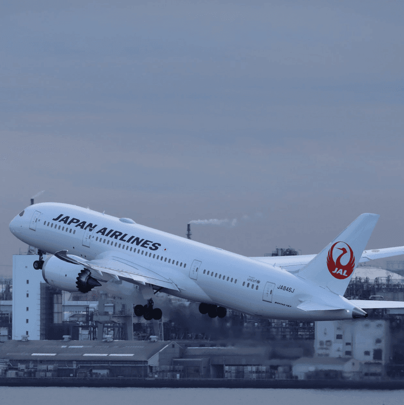 Picture of Japan Airlines, undefined