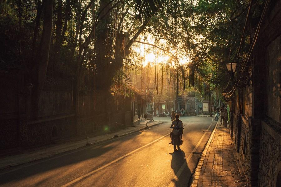 Picture of Explore Ubud, attraction