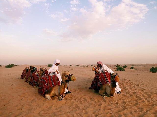 Picture of Camel riding, attraction