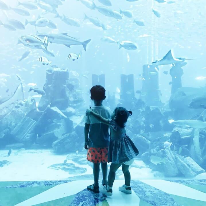 Picture of Dubai Aquarium, attraction