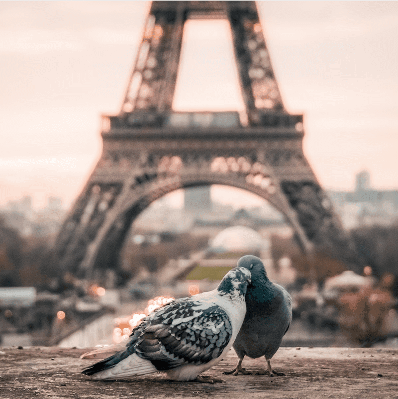 Picture of Paris, France